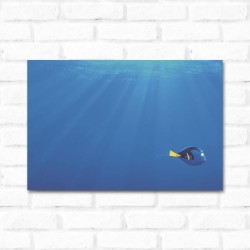 Placa Decorativa Dory 2