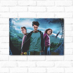 Placa Decorativa Harry Potter 1