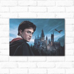 Placa Decorativa Harry Potter 2