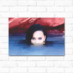 Placa Decorativa Katy Perry 1