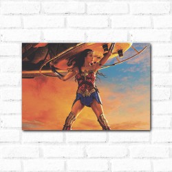Placa Decorativa Mulher Maravilha 2